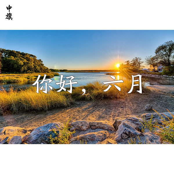 2024年行業(yè)前景預(yù)期，已經(jīng)6月份了是否有回暖現(xiàn)象
