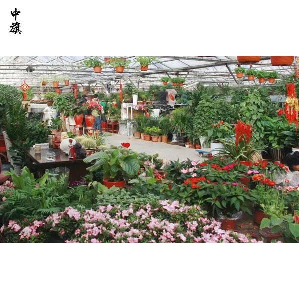 在北京開一家花鳥魚市場前景怎么樣？