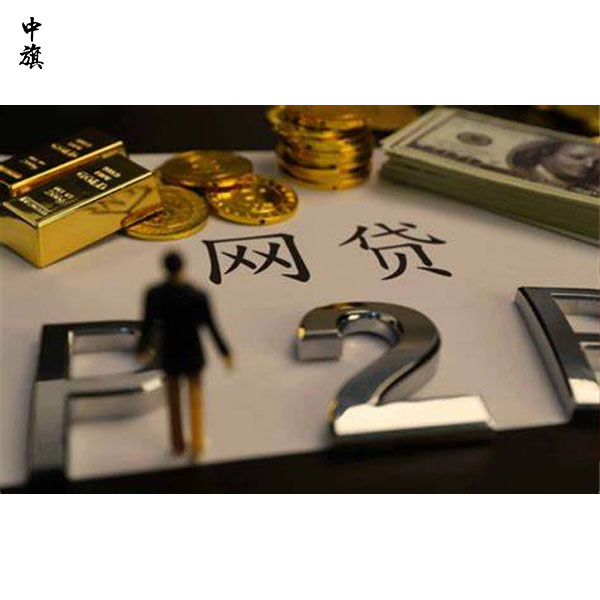 借款公司營業(yè)執(zhí)照填寫詳細教程，照著填就行了
