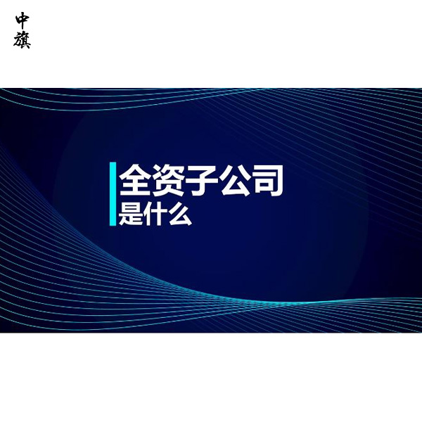全資子公司和分公司有什么不同？哪個(gè)更適合你的業(yè)務(wù)？