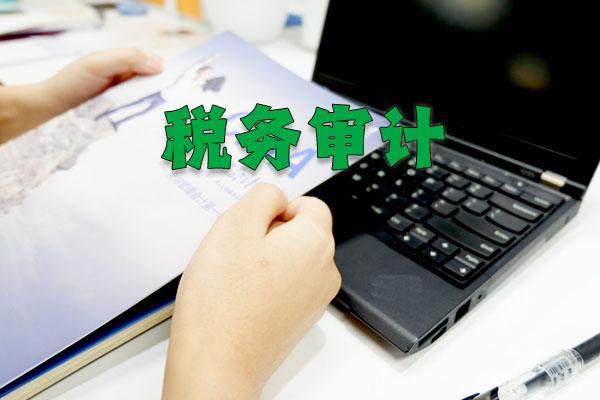 稅務(wù)審計(jì)示意圖.jpg