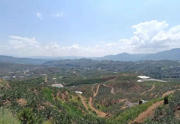 中國石榴之鄉(xiāng).jpg