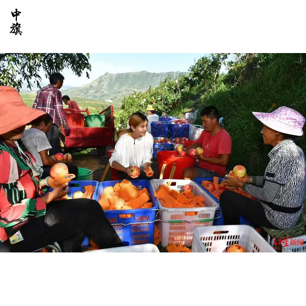 95后女孩辭職回鄉(xiāng)，7年創(chuàng)業(yè)路上的蛻變