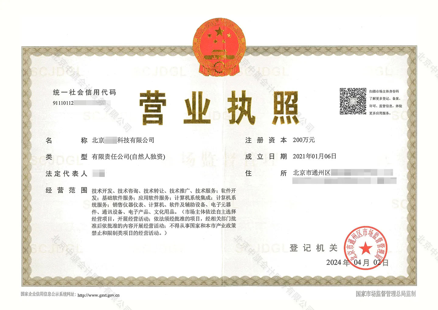 獨(dú)資企業(yè)科技類型的公司.jpg