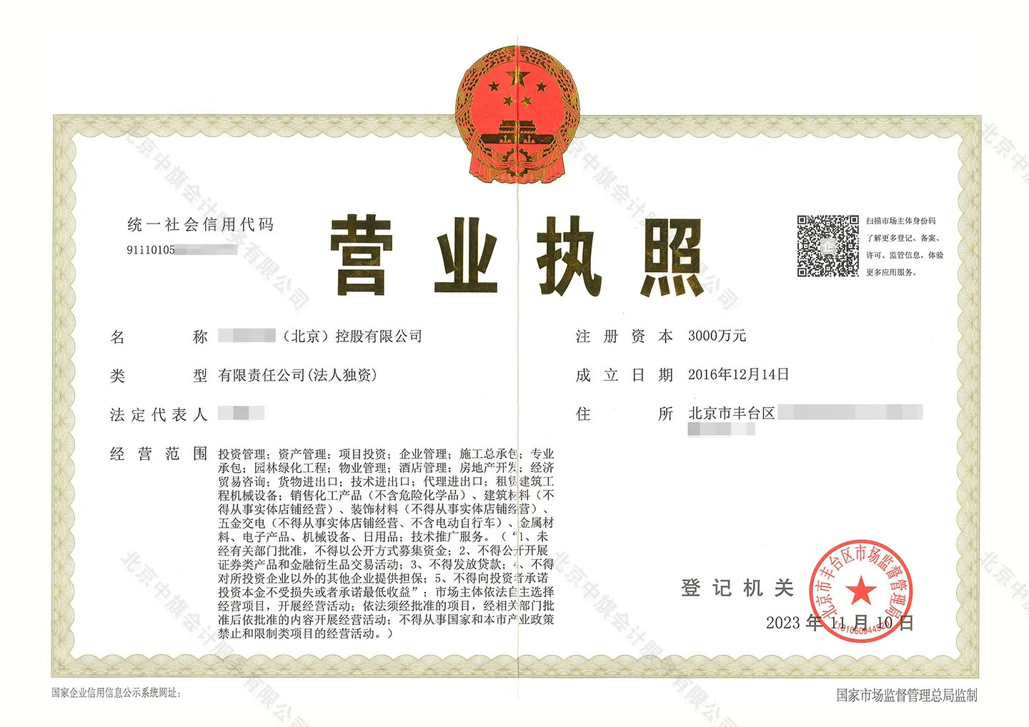 我們辦理的控股類型的獨(dú)資企業(yè).jpg