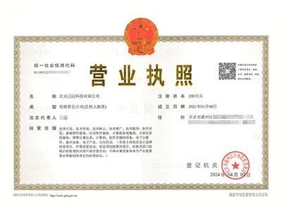 個人獨(dú)資企業(yè)