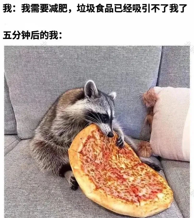 我要減肥，我要減肥，我要減肥啊.jpg