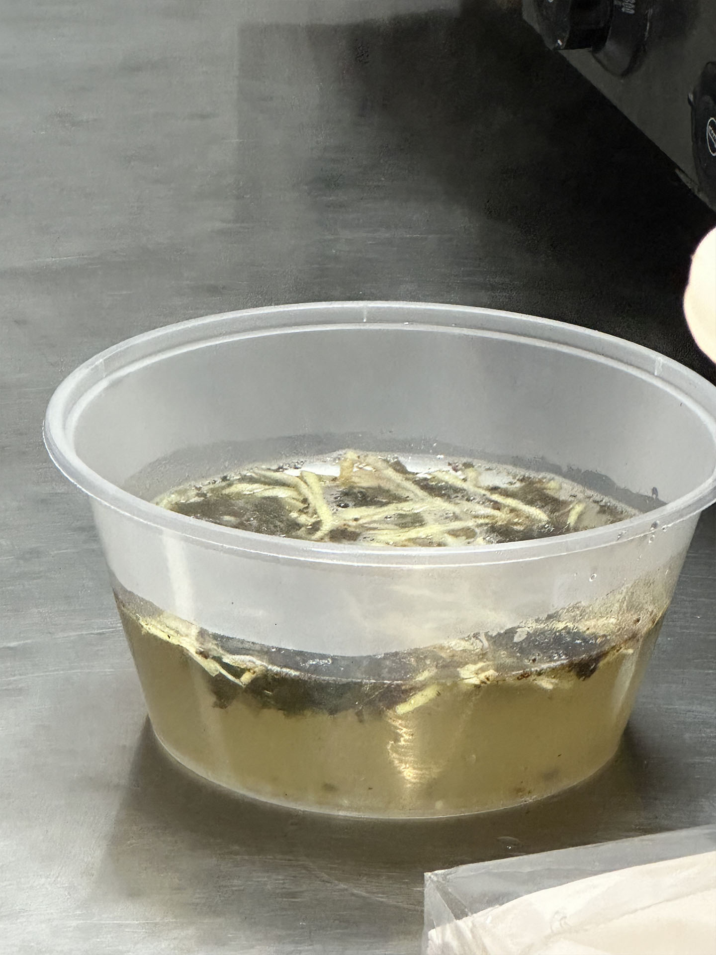 調(diào)好的餛飩湯.jpg