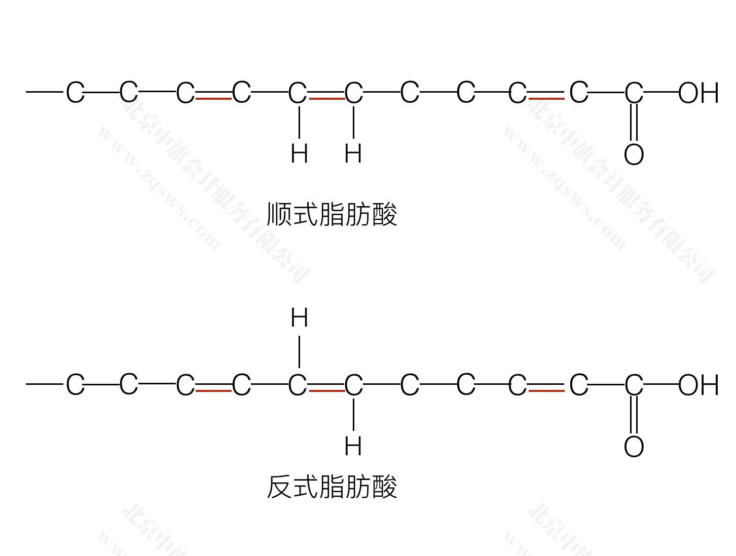 什么是反式脂肪酸？.jpg