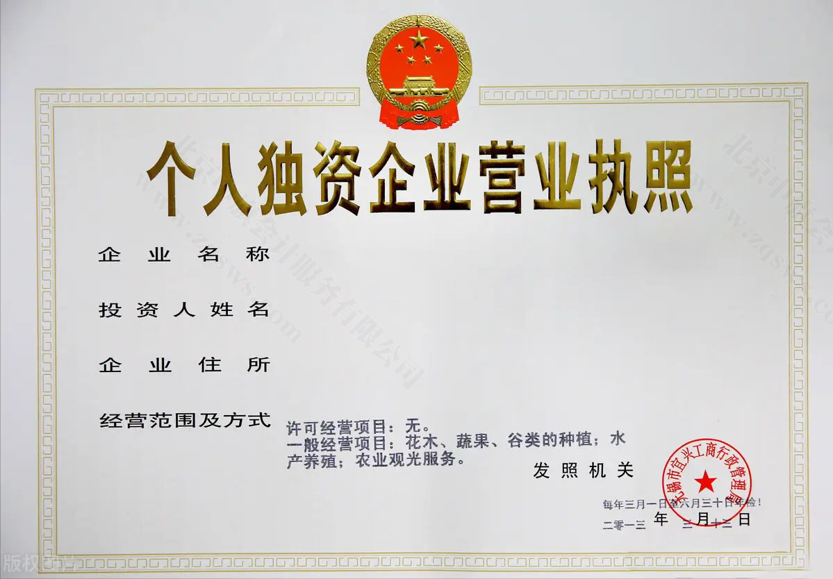 個人獨(dú)資企業(yè)營業(yè)執(zhí)照.jpg
