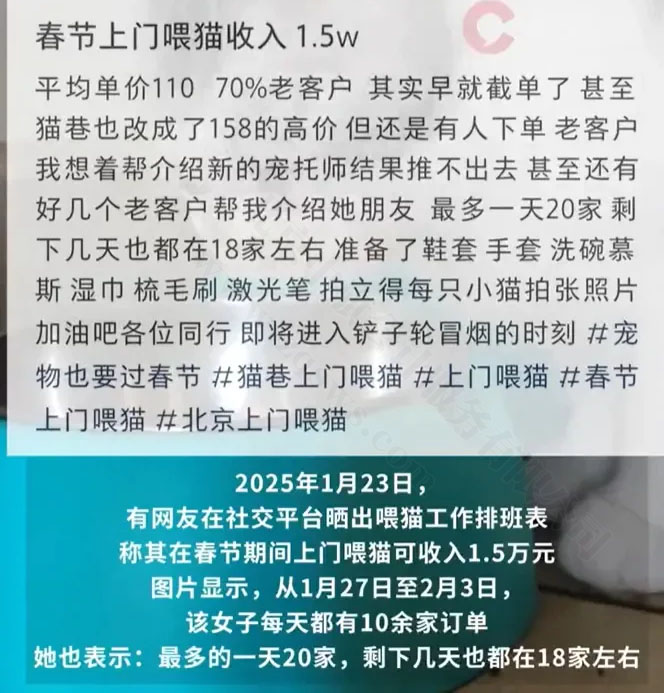春節(jié)期間上門喂貓.jpg