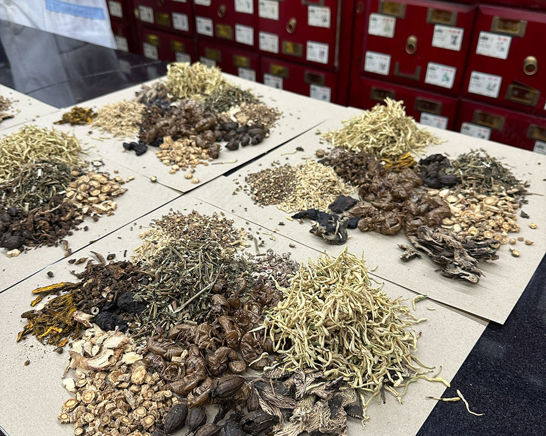 線下的中草藥店.jpg