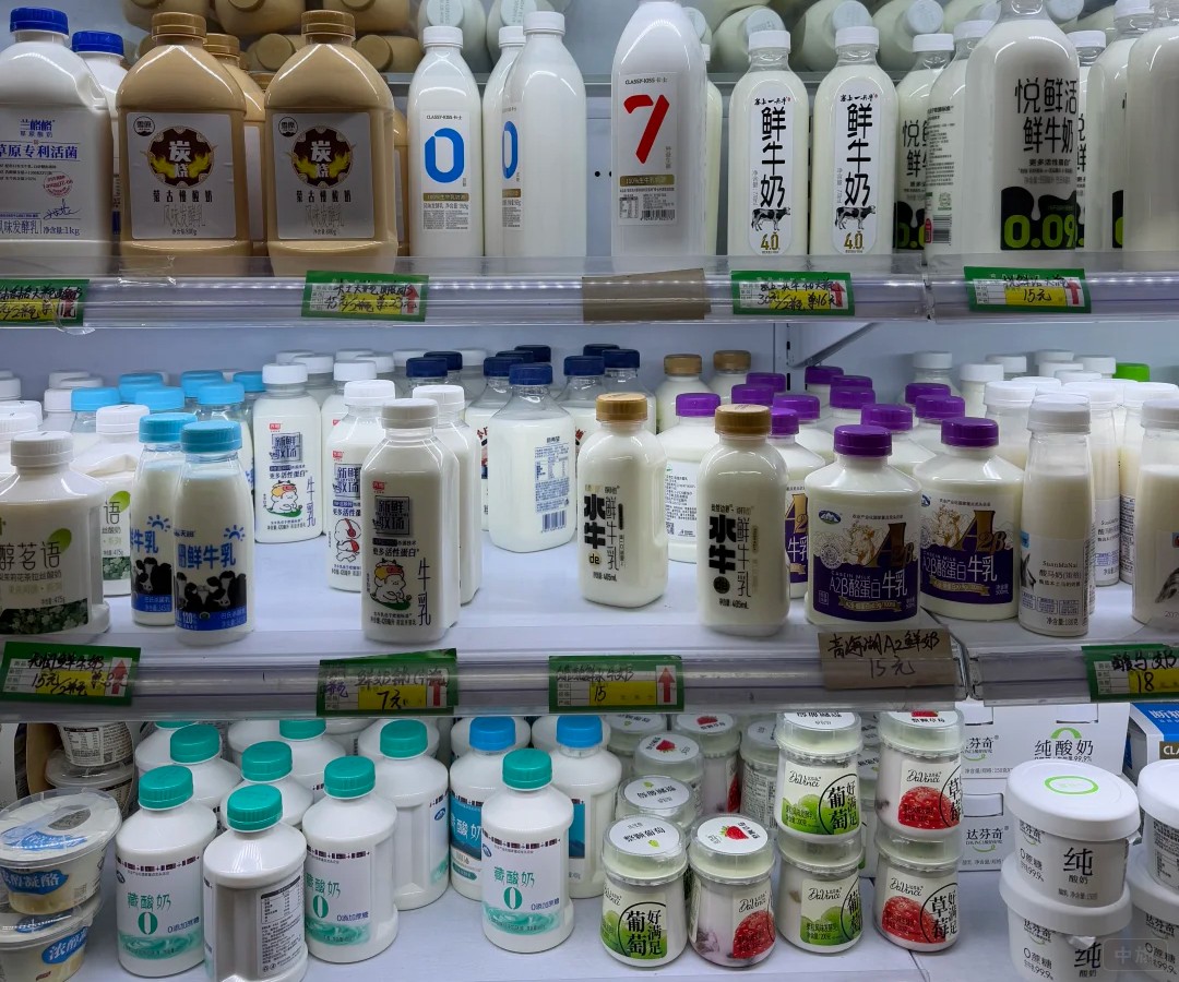 鮮牛奶、常溫奶，到酸奶、奶酪一應俱全.jpg