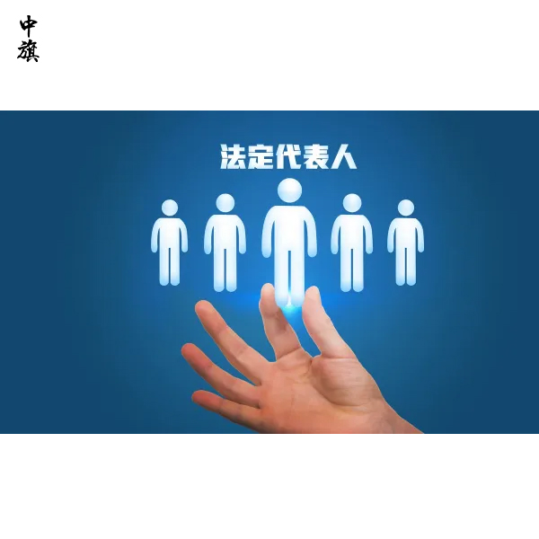有限公司股份怎么分？