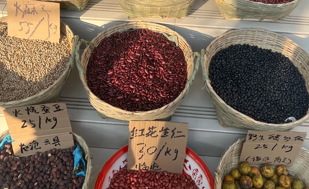 自家賣的種子