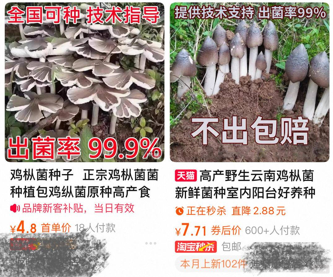 某平臺上正在銷售的種子